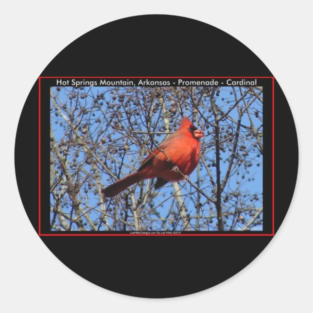 Hot Springs Mountain Promenade  Cardinal Gifts Classic Round Sticker (Front)