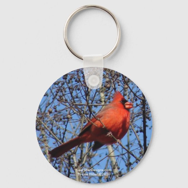 Hot Springs Mountain Promenade  Cardinal Gifts Keychain (Front)