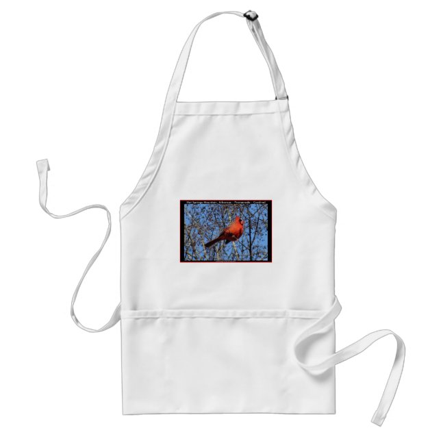 Hot Springs Mountain Promenade  Cardinal Gifts Standard Apron (Front)