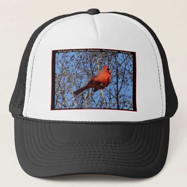 Hot Springs Mountain Promenade  Cardinal Gifts Trucker Hat (Front)