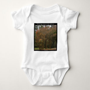 Hot Springs National Park, AR Above the Promenade Baby Bodysuit