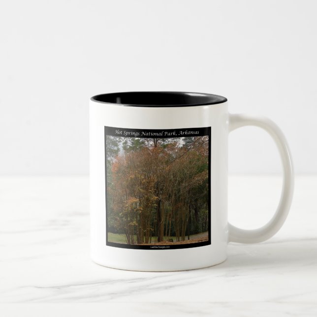 Hot Springs National Park, AR Above the Promenade Two-Tone Coffee Mug (Right)