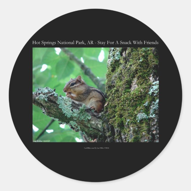Hot Springs National Park, AR Chipmunk Snack Gifts Classic Round Sticker (Front)