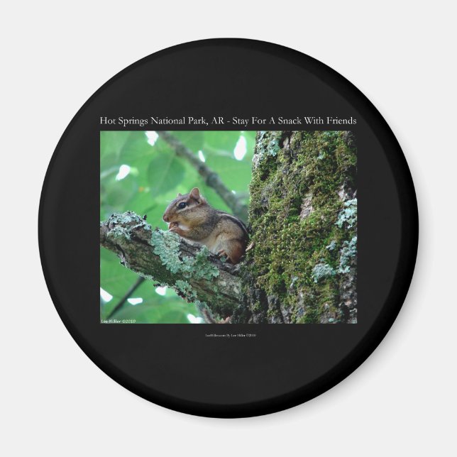 Hot Springs National Park, AR Chipmunk Snack Gifts Magnet (Front)