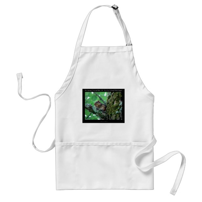 Hot Springs National Park, AR Chipmunk Snack Gifts Standard Apron (Front)