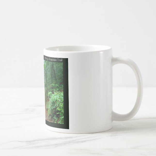 Hot Springs National Park, AR Fading Fog Gifts Coffee Mug (Right)