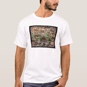 Hot Springs National Park, AR - Honeysuckle Trail T-Shirt