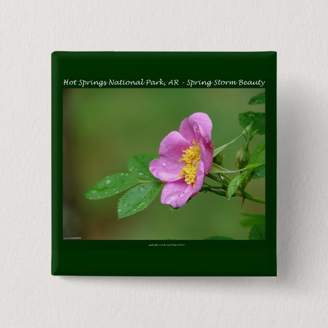 Hot Springs National Park, AR  Wild Rose Gifts 2 Inch Square Button (Front)