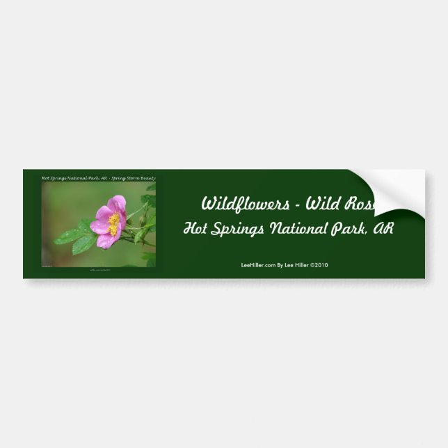 Hot Springs National Park, AR  Wild Rose Gifts Bumper Sticker (Front)