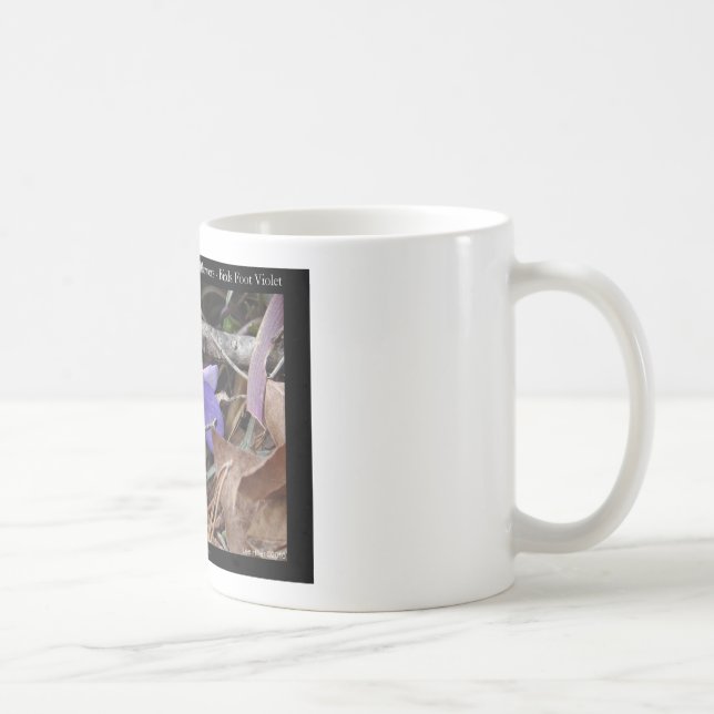 Hot Springs National Park, AR Wild Violets Gifts Coffee Mug (Right)
