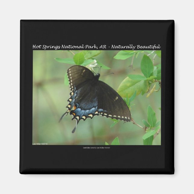 Hot Springs National Park Swallowtail Butterfly Magnet (Front)