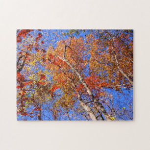 Hot Springs Parc National Autumn Leaves Puzzle