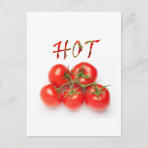 Hot Tomato Postcard