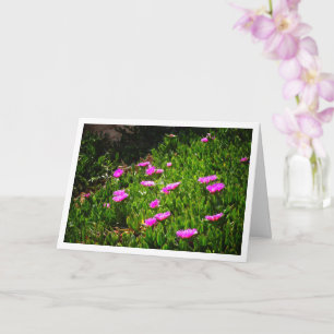 Hottentot Fig Ground Creeping Ice Plant Card