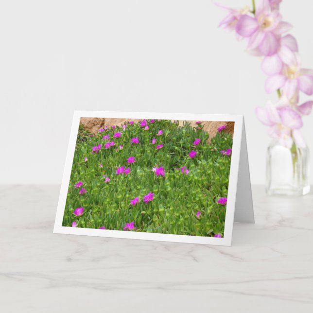 Hottentot Fig, Ice Plant in Canyon Card (Orchid)
