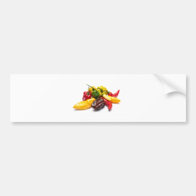 Hottest chilies bumper sticker (Front)