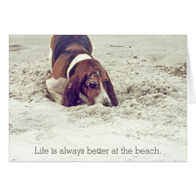 Hound Dog at the Beach, Dog Digging in Sand (Front Horizontal)
