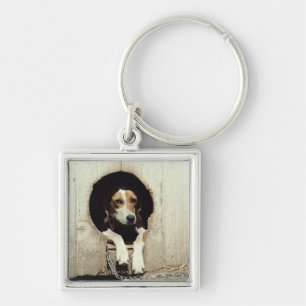 Hound dog in dog house keychain