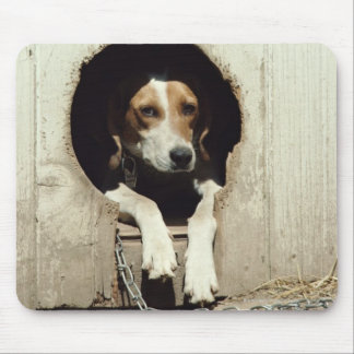 Hound dog in dog house mouse pad
