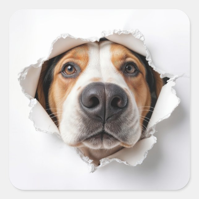 Hound Dog Peeking Through Torn Paper Hole Square Sticker (Front)
