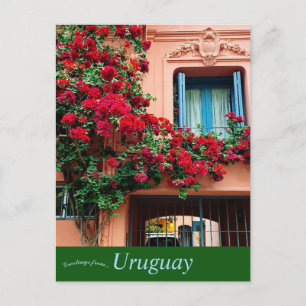 House and Flowers in Uruguay Postcard