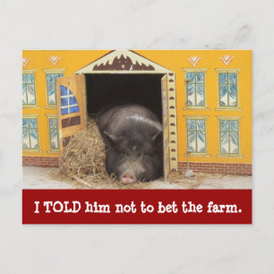 House and Pig We Moved New Address Cards