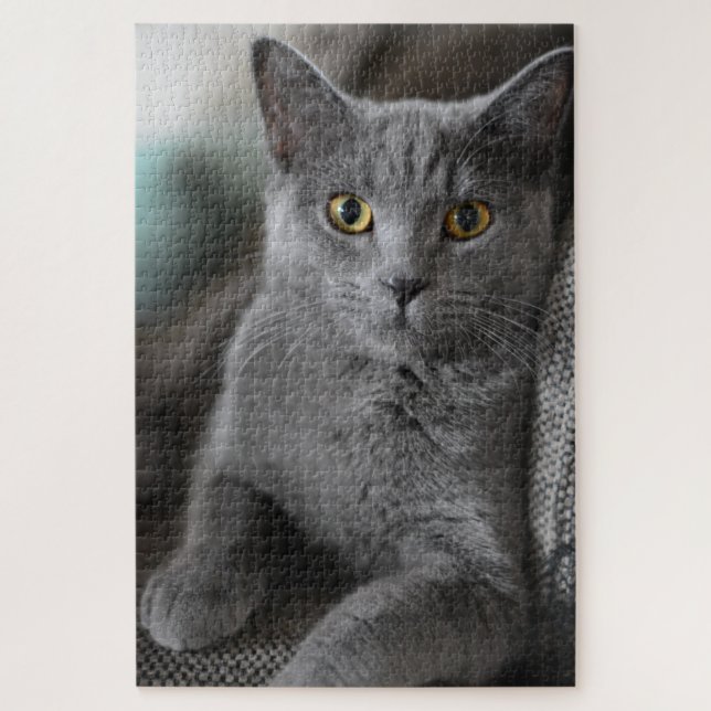 house cat puzzle (Vertical)