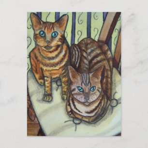House Cats Postcard