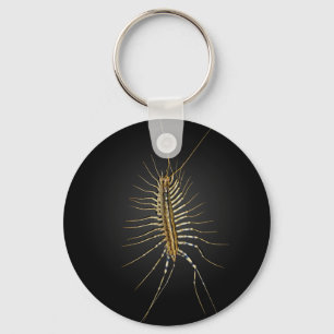 House Centipede Scutigera Coleoptrata Keychain