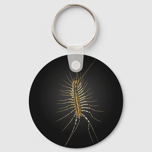 House Centipede Scutigera Coleoptrata Keychain (Front)