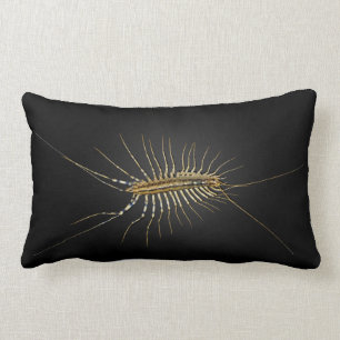House Centipede Scutigera Coleoptrata Lumbar Pillow
