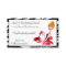 House Cleaning Diva Business Cards