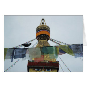 House Crow at Prayers Bodha Stupa, Nepal