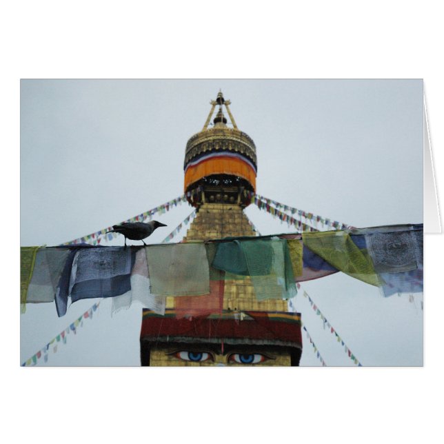 House Crow at Prayers Bodha Stupa, Nepal (Front Horizontal)