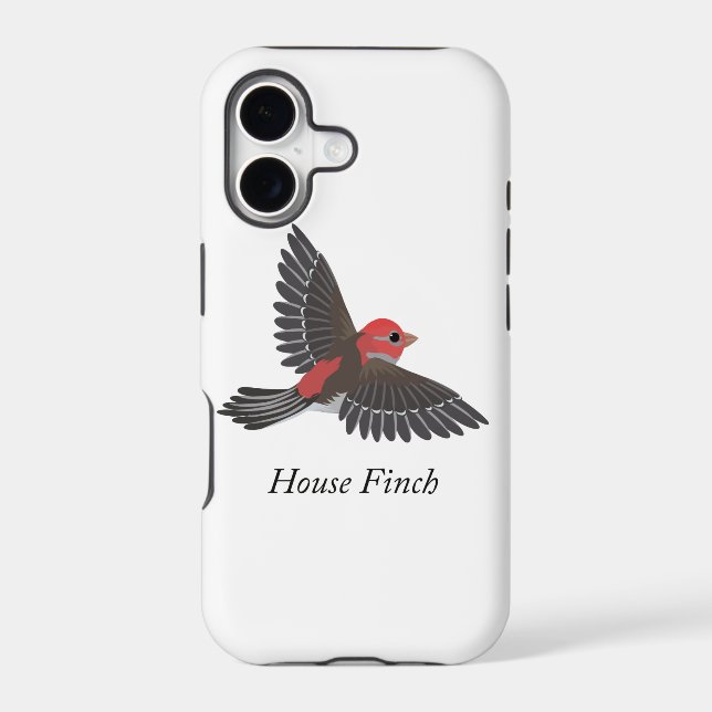 House Finch (Back)