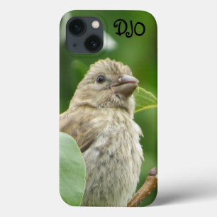 House Finch Bird Personalized iPhone 13 Case