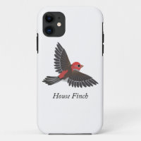 House Finch