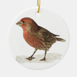 House Finch Ceramic Ornament