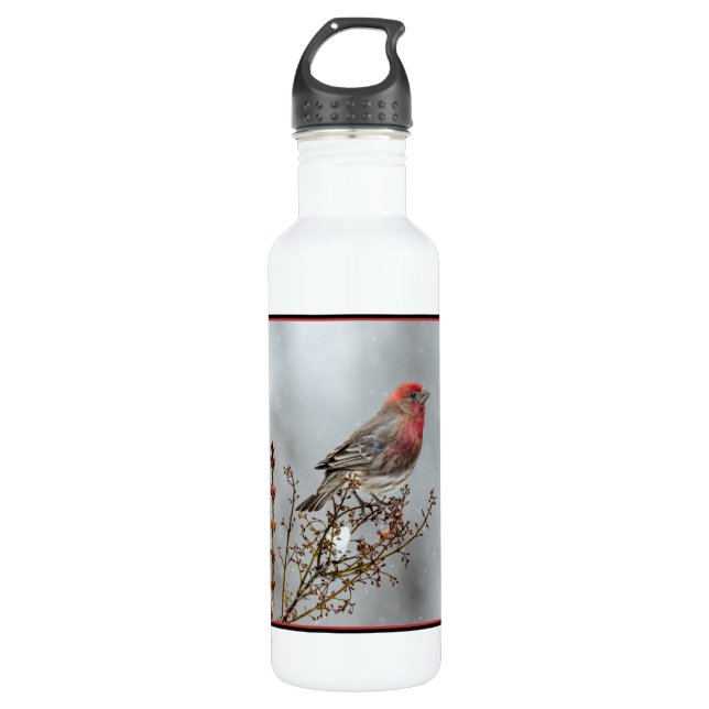 House Finch in Snow - Original Photograph 710 Ml Water Bottle (Front)