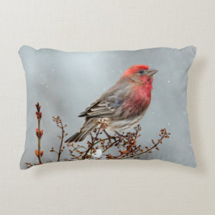 House Finch in Snow - Original Photograph Accent Pillow