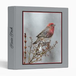 House Finch in Snow - Original Photograph Binder