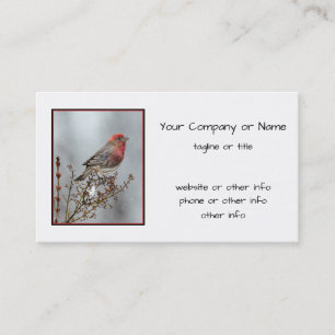 House Finch in Snow - Original Photograph Business Card