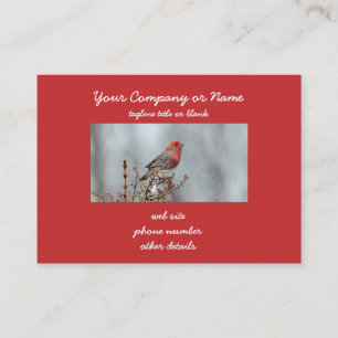 House Finch in Snow - Original Photograph Business Card
