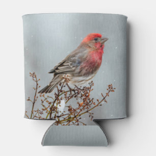 House Finch in Snow - Original Photograph Can Cooler