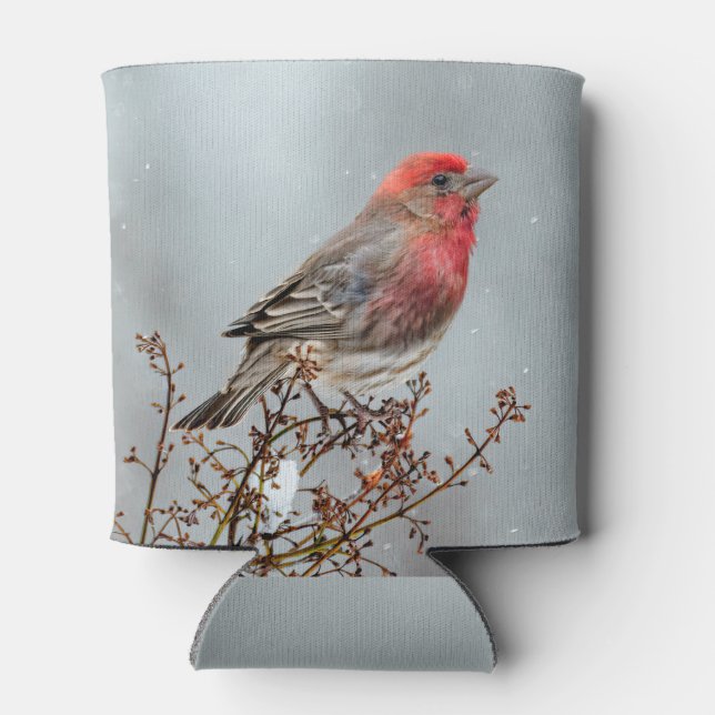 House Finch in Snow - Original Photograph Can Cooler (Back)
