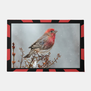 House Finch in Snow - Original Photograph Doormat