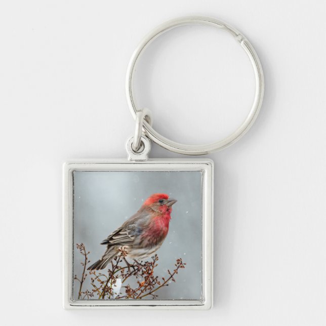 House Finch in Snow - Original Photograph Keychain (Front)