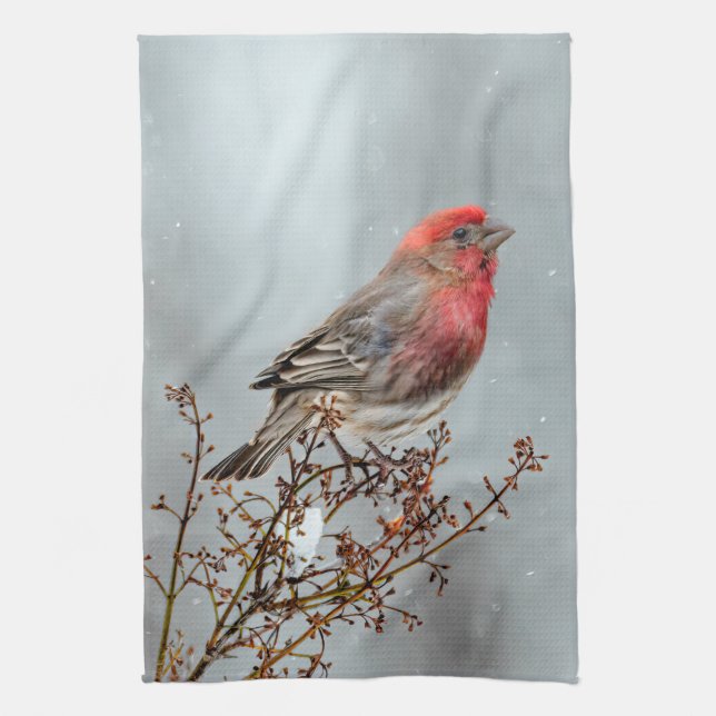 House Finch in Snow - Original Photograph Kitchen Towel (Vertical)