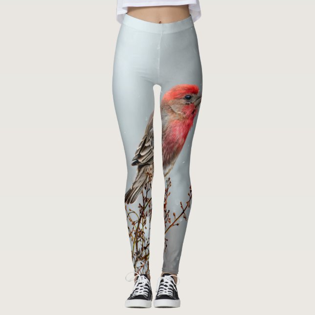 House Finch in Snow - Original Photograph Leggings (Front)
