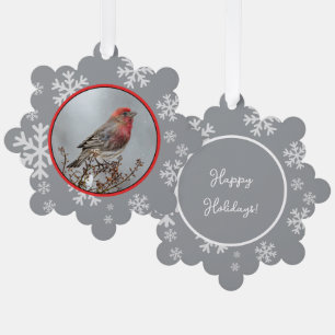 House Finch in Snow - Original Photograph Ornament Card